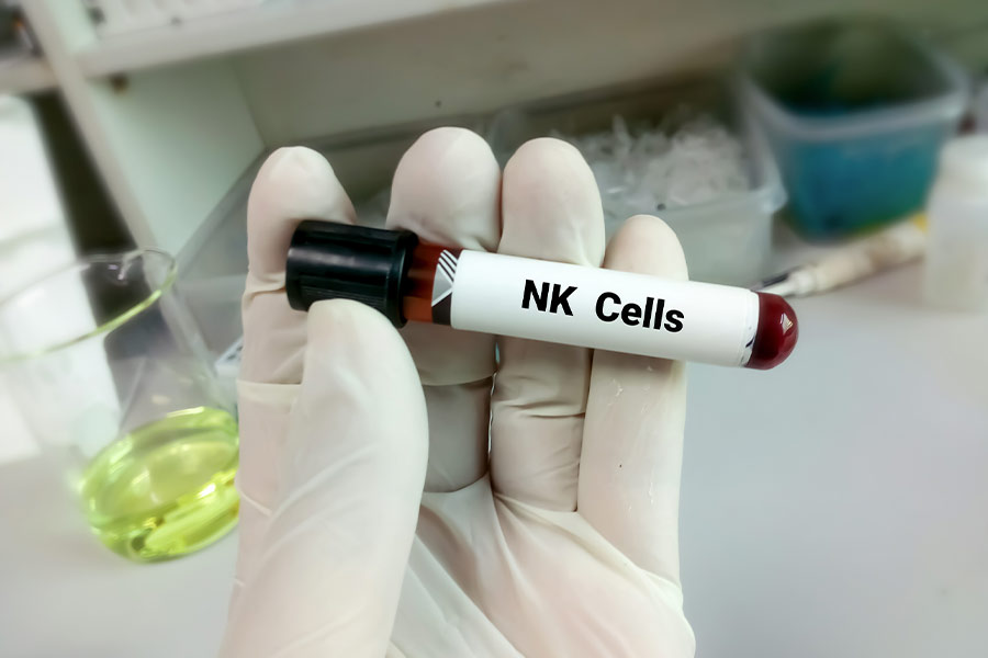 Was sind natürliche Killerzellen und wie können sie die Schwangerschaft beeinflussen?