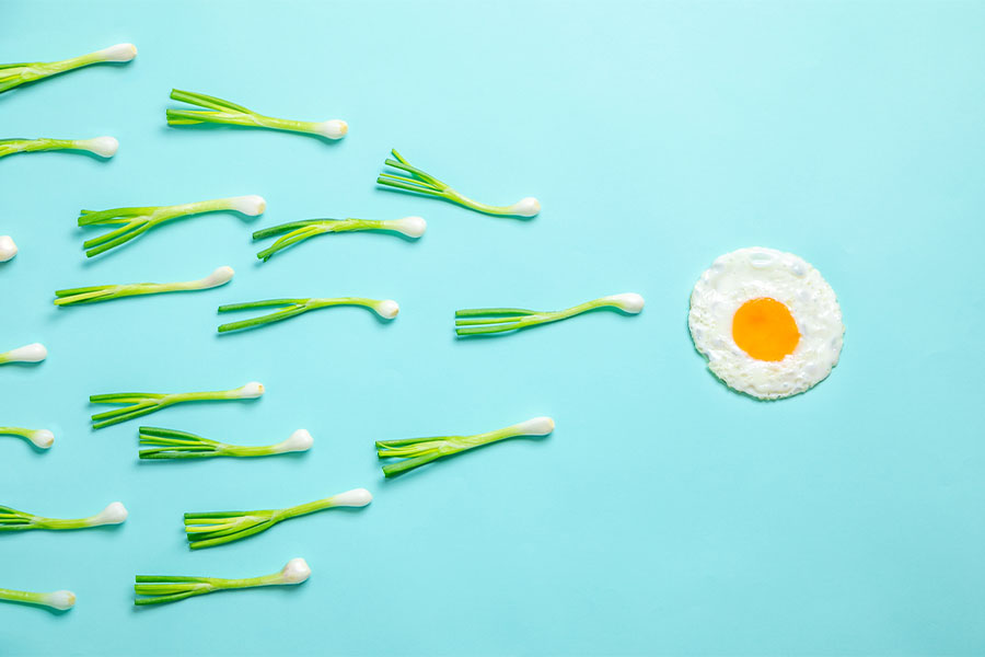 Il ruolo della qualità dell'uovo e dello sperma in una gravidanza di successo