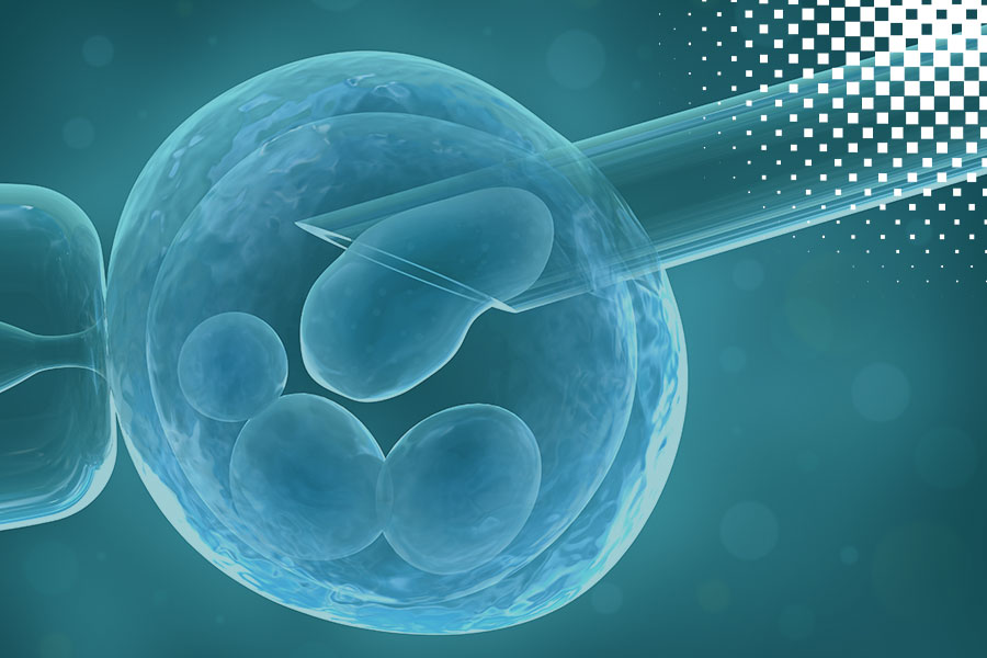Pre Implantation Genetic Testing Pgt Now Fertility 7437